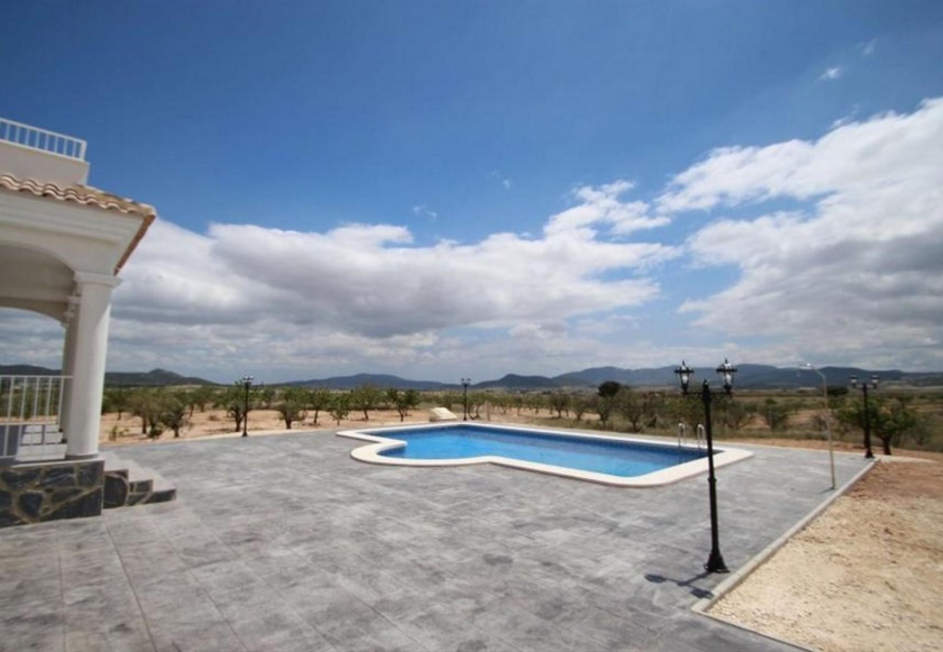 Luxury New Villas with Pool inc. land, licences & legalities in Alicante, Pinoso in Medvilla Spanje