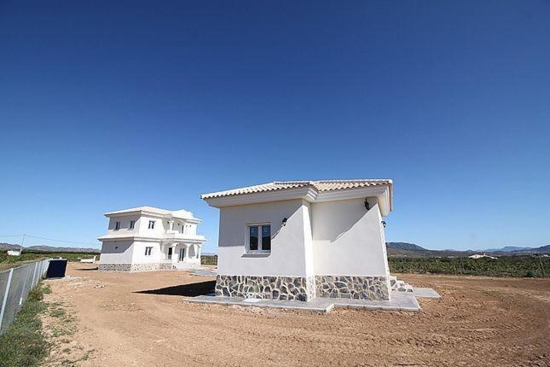 Luxury New Villas with Pool inc. land, licences & legalities in Alicante, Pinoso in Medvilla Spanje