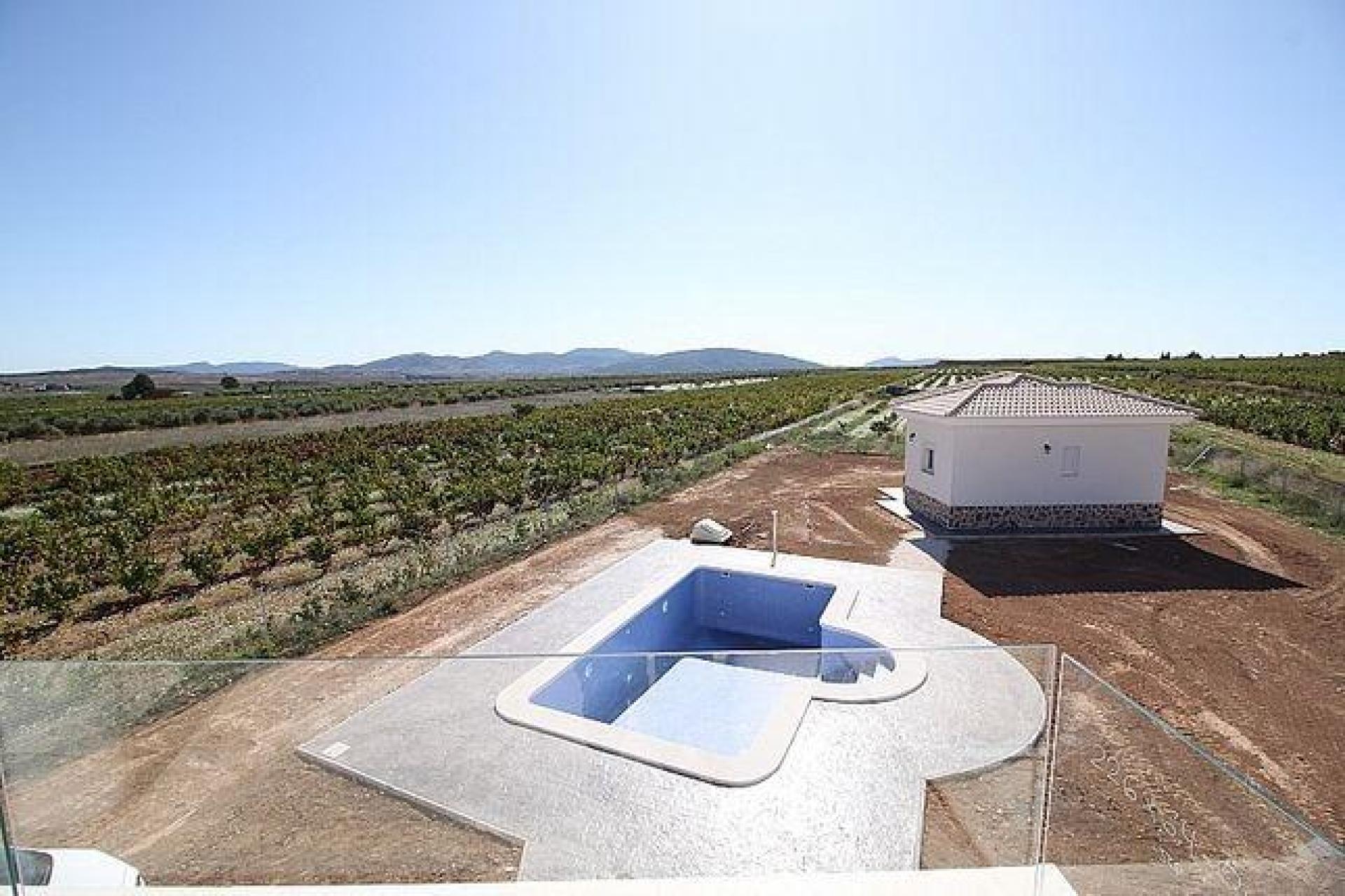 Luxury New Villas with Pool inc. land, licences & legalities in Alicante, Pinoso in Medvilla Spanje