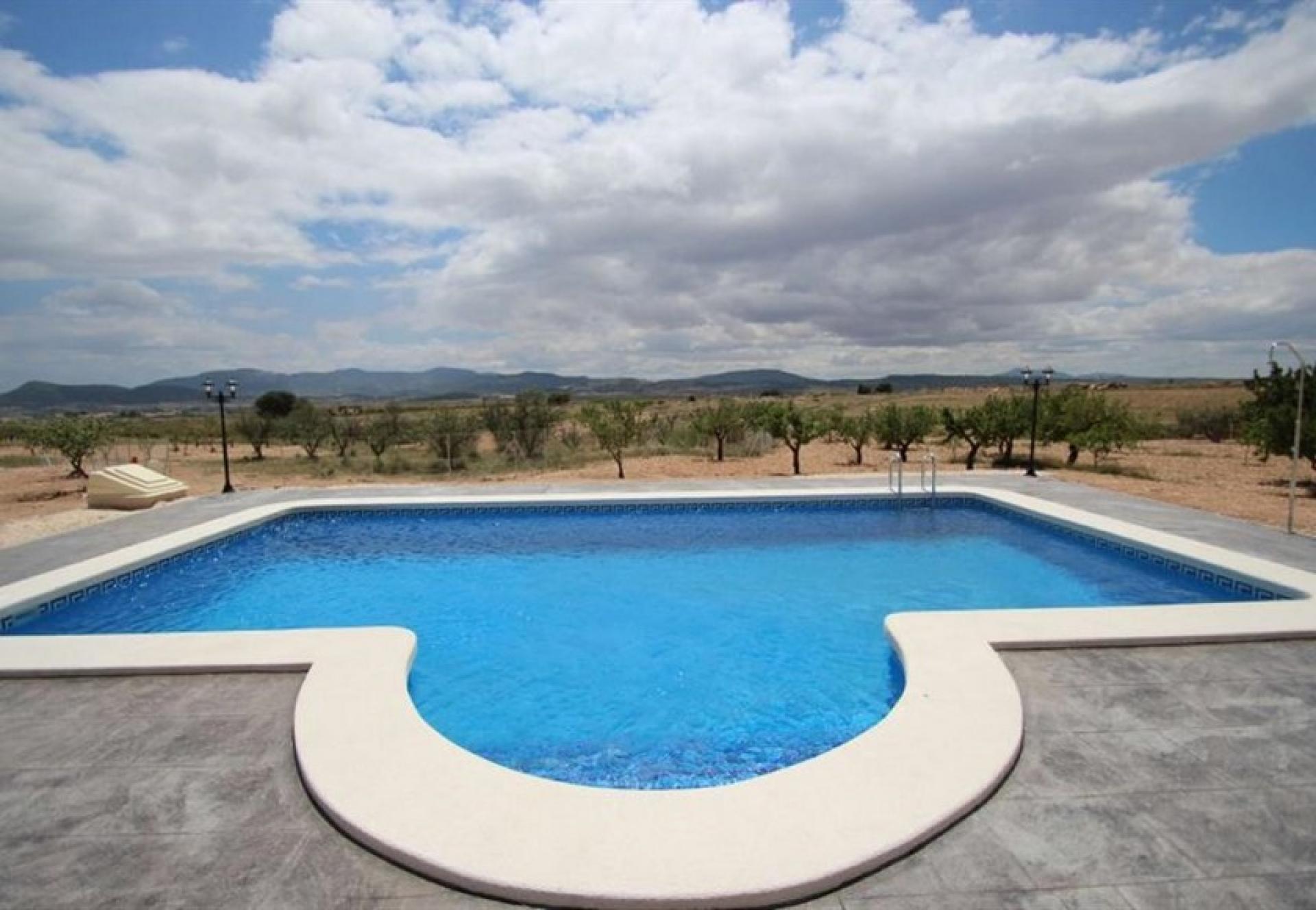 Luxury New Villas with Pool inc. land, licences & legalities in Alicante, Pinoso in Medvilla Spanje