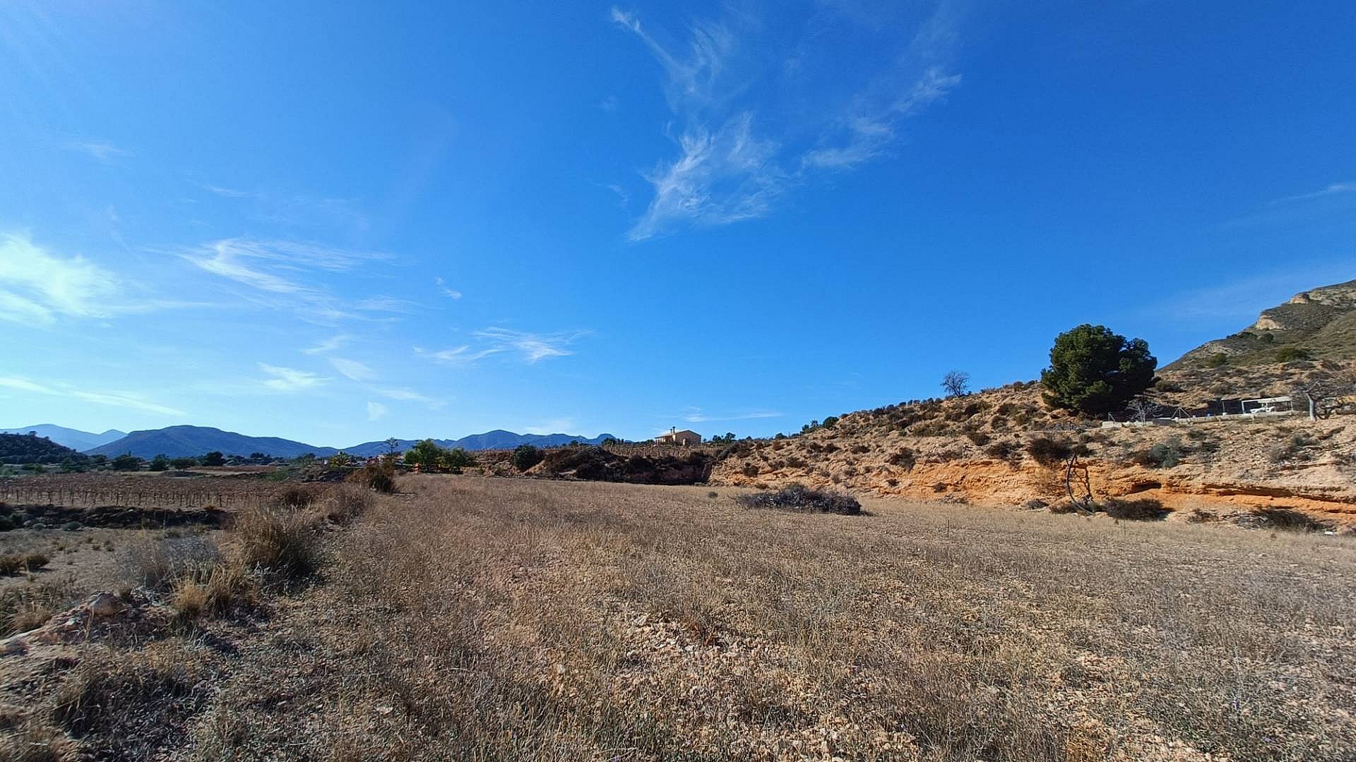 Detached villa with pool under construction in Novelda in Medvilla Spanje